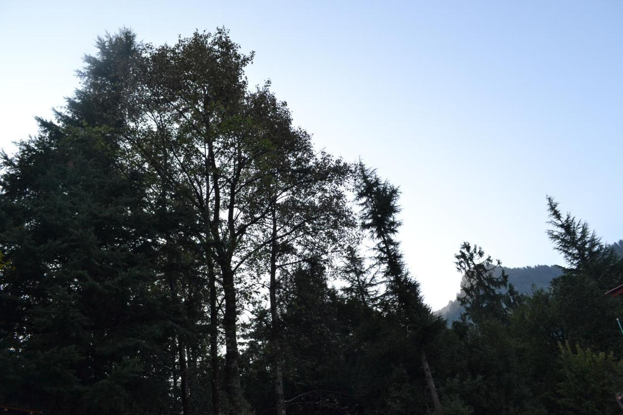 Forest Wood Cottage Manāli Exteriér fotografie